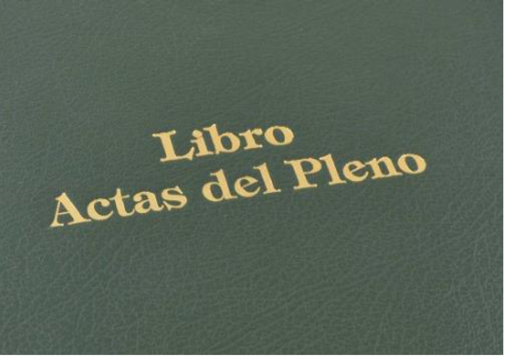 Imagen de banner: ACTAS DE PLENOS